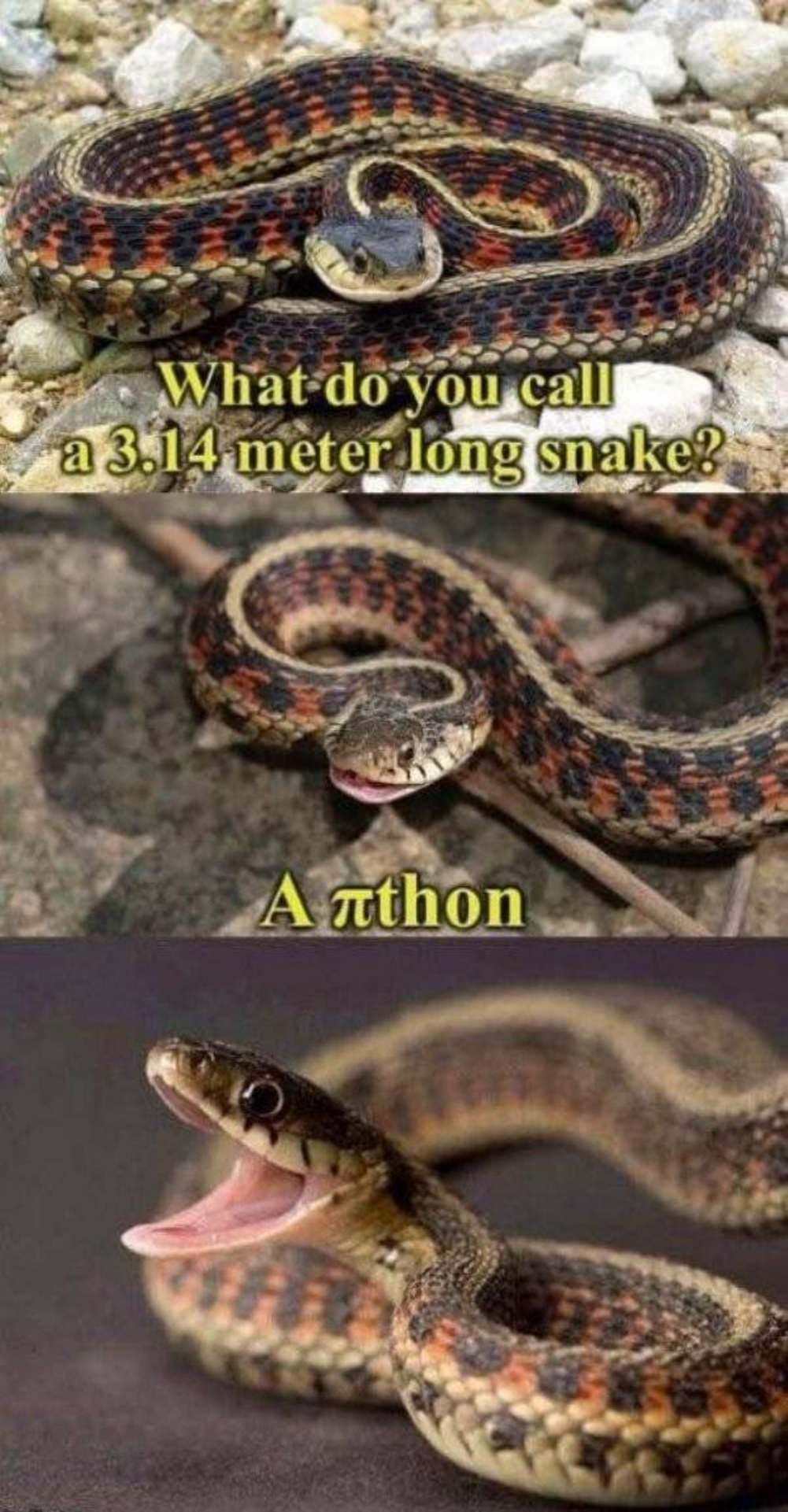 Dad Jokes