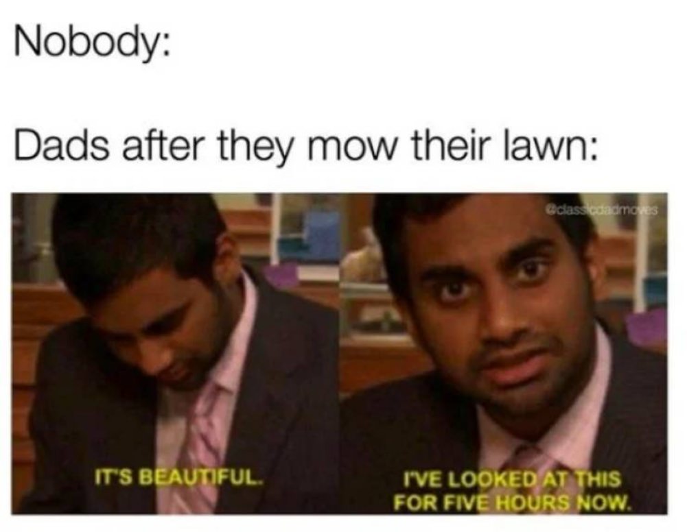 Dad Jokes