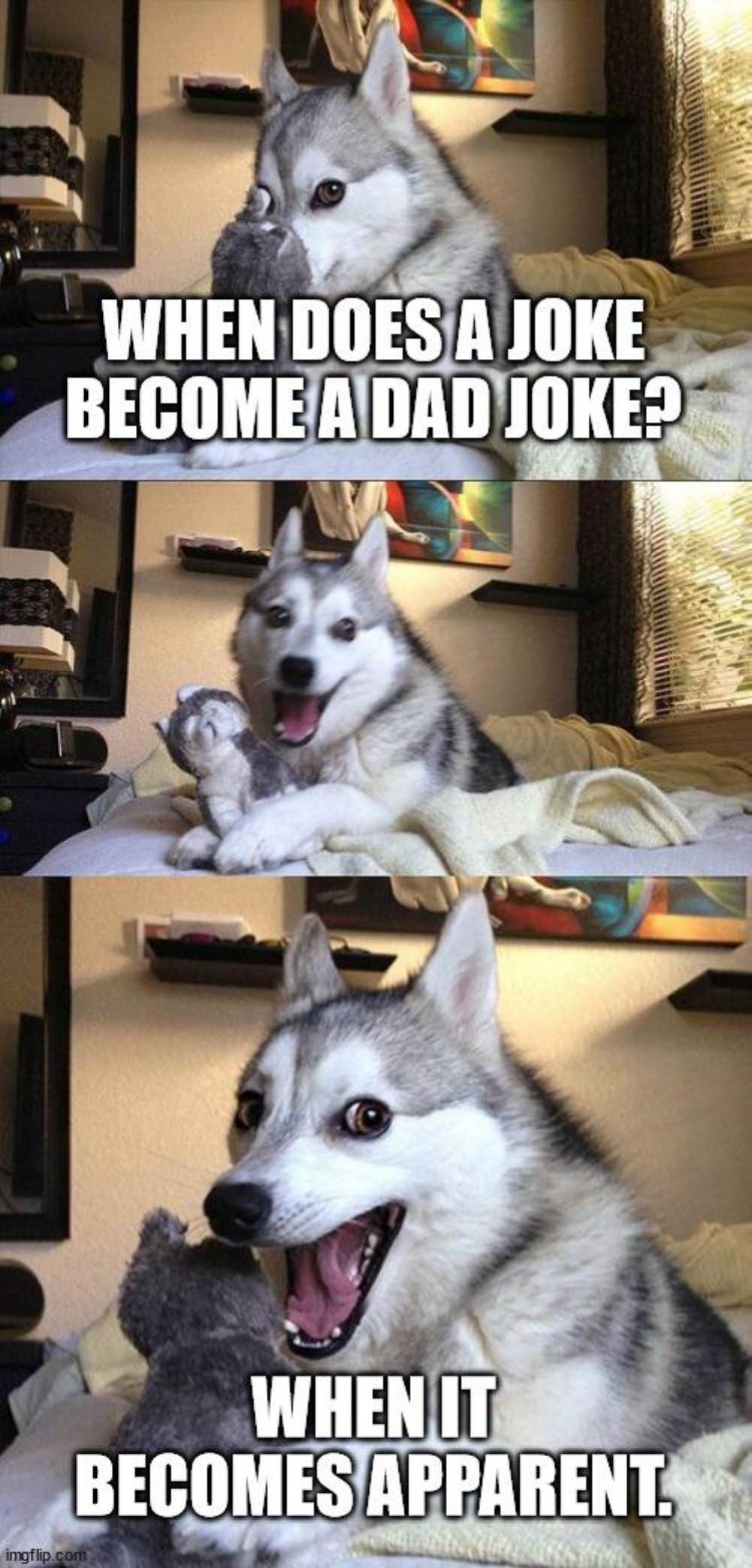 Dad Jokes