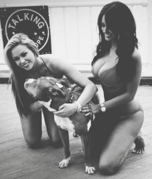 dogs