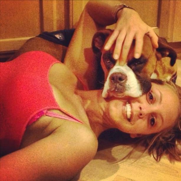 dogs