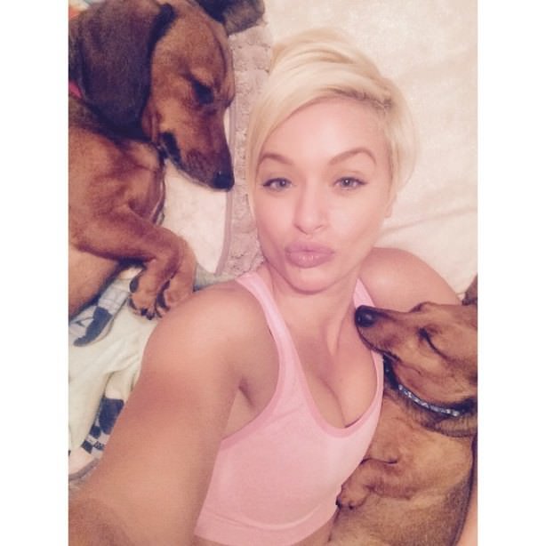 dogs