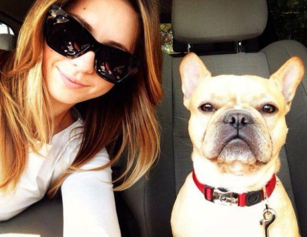 dogs