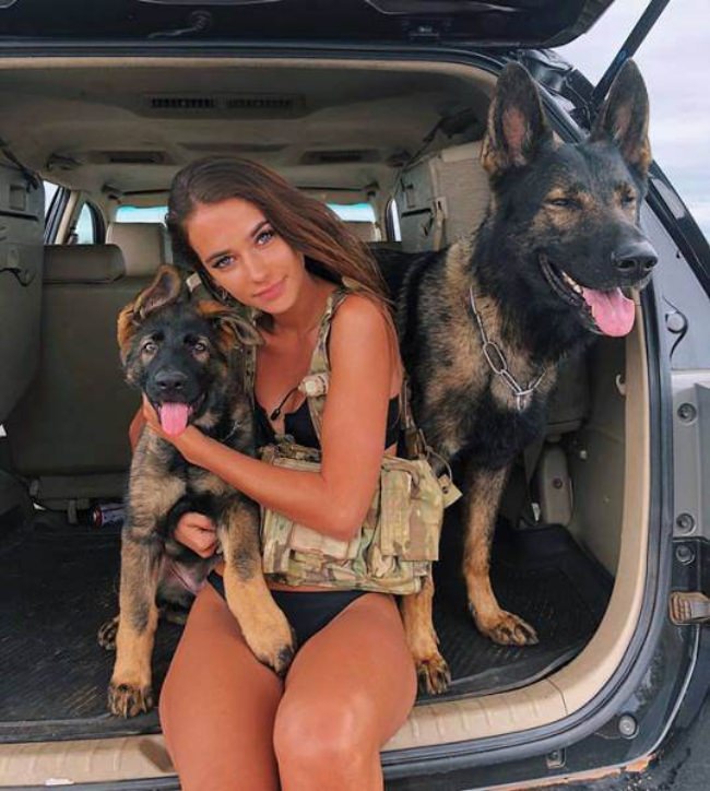 dogs