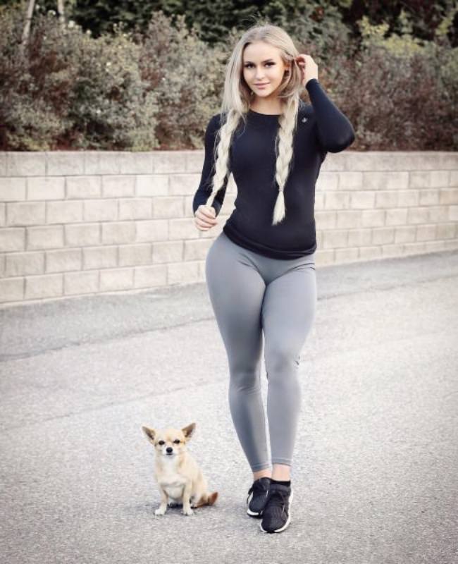 dogs
