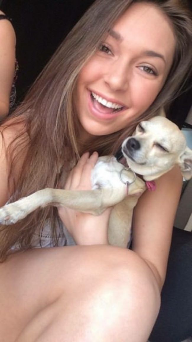 dogs