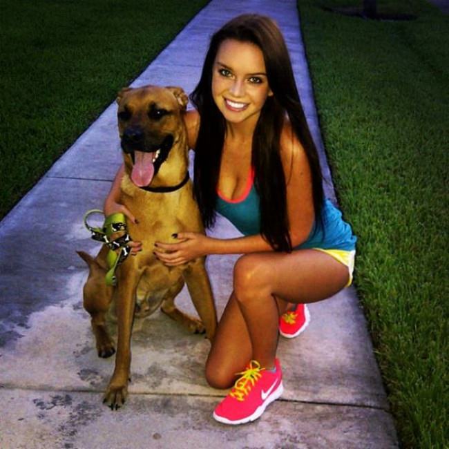 dogs