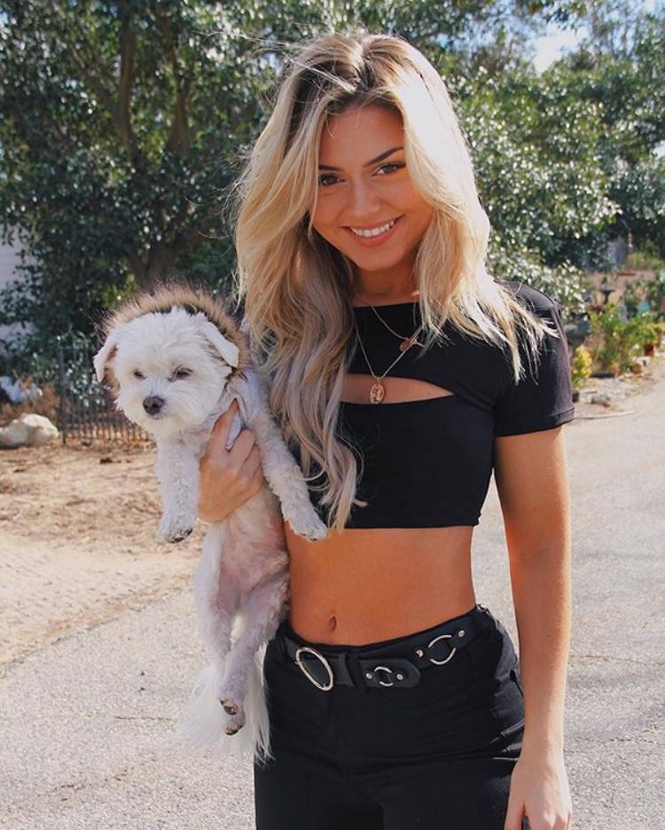 Puppy Dogs