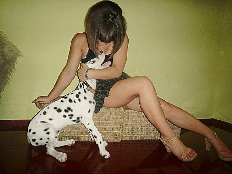 Puppy Dogs