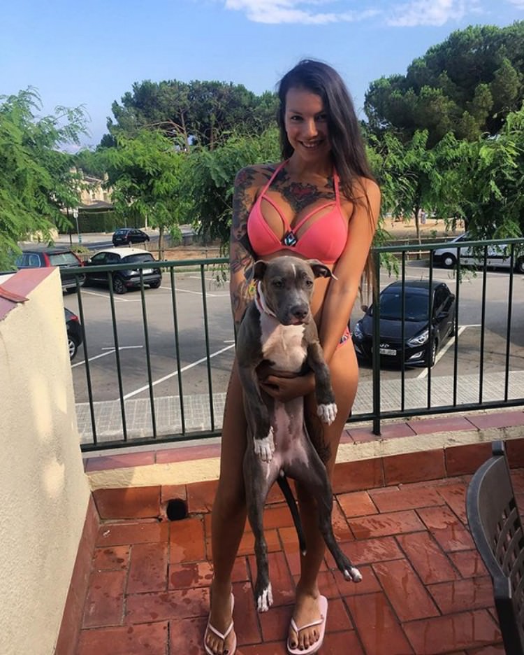 Puppy Dogs