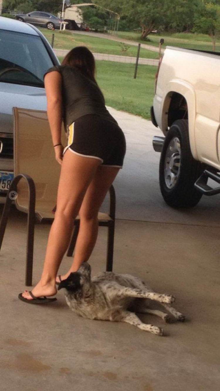 Puppy Dogs