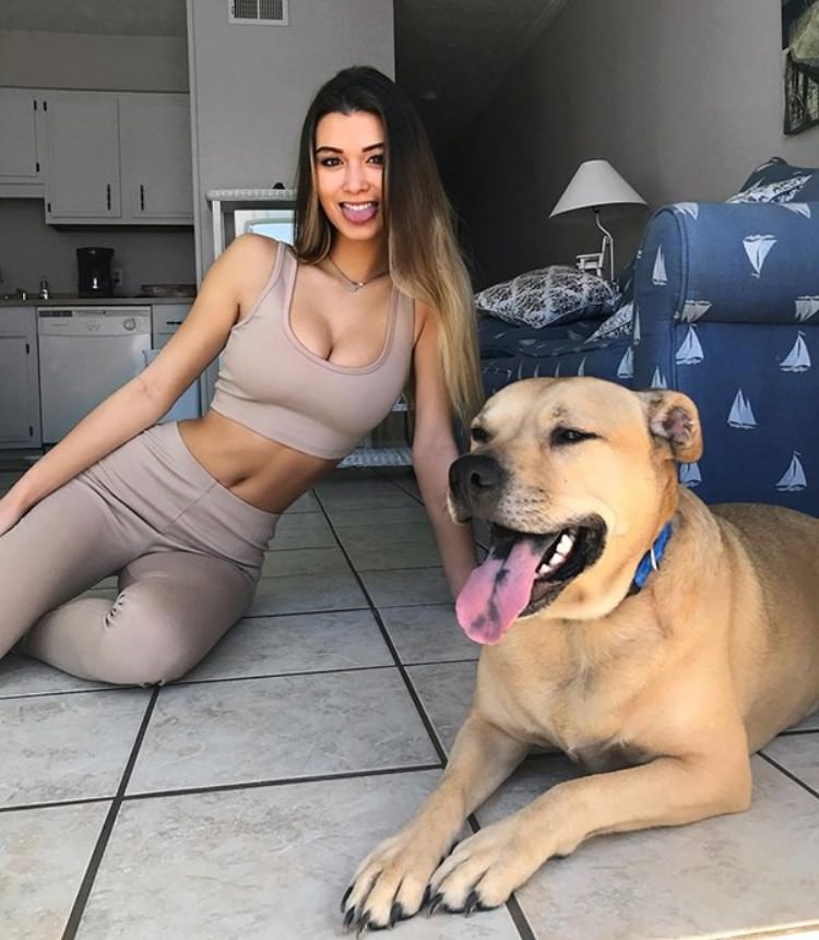 Puppy Dogs