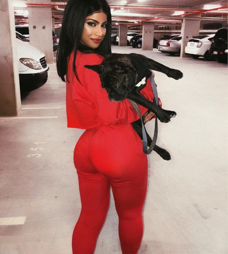 Puppy Dogs