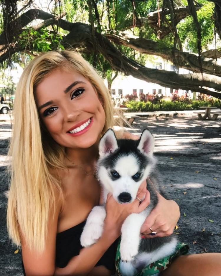 Puppy Dogs