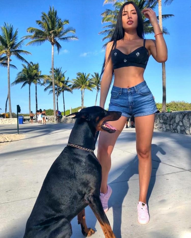 Puppy Dogs