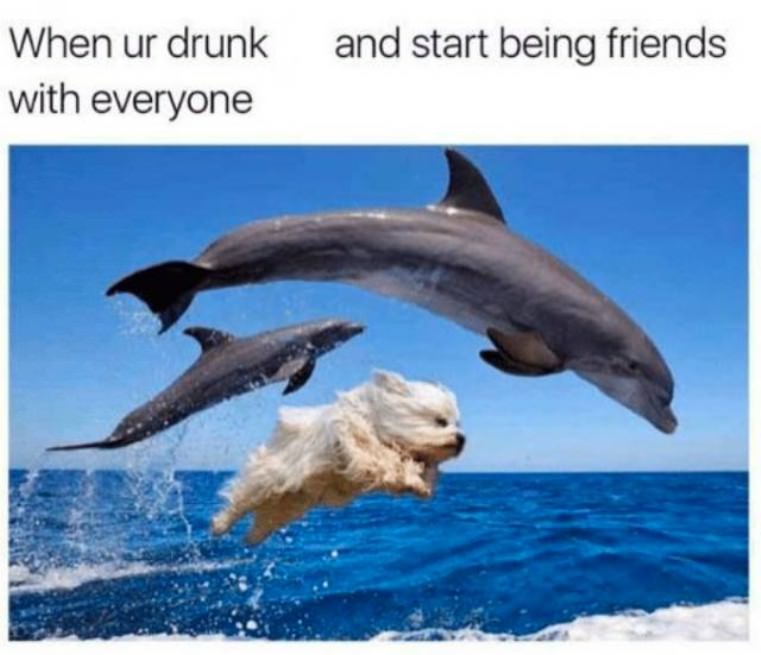 Thank you Alcohol