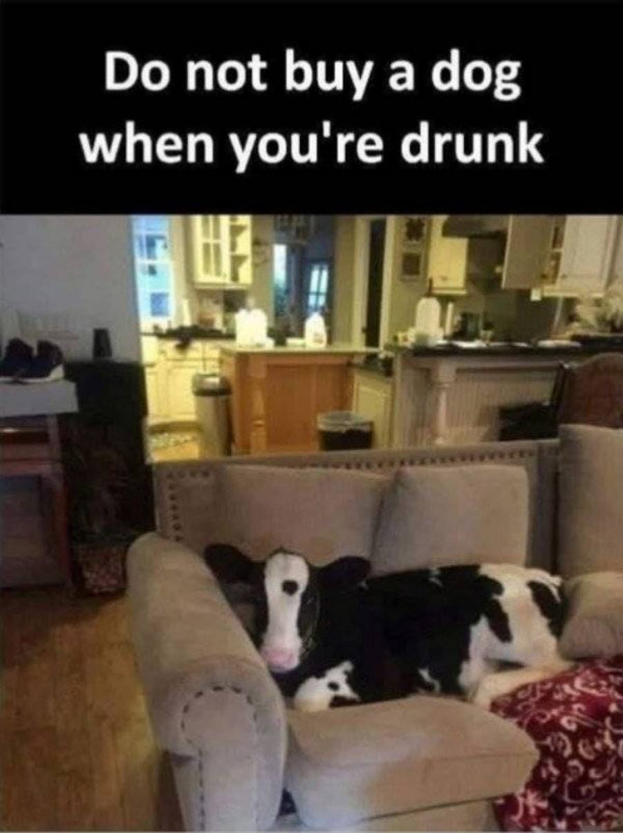 You might be drunk if