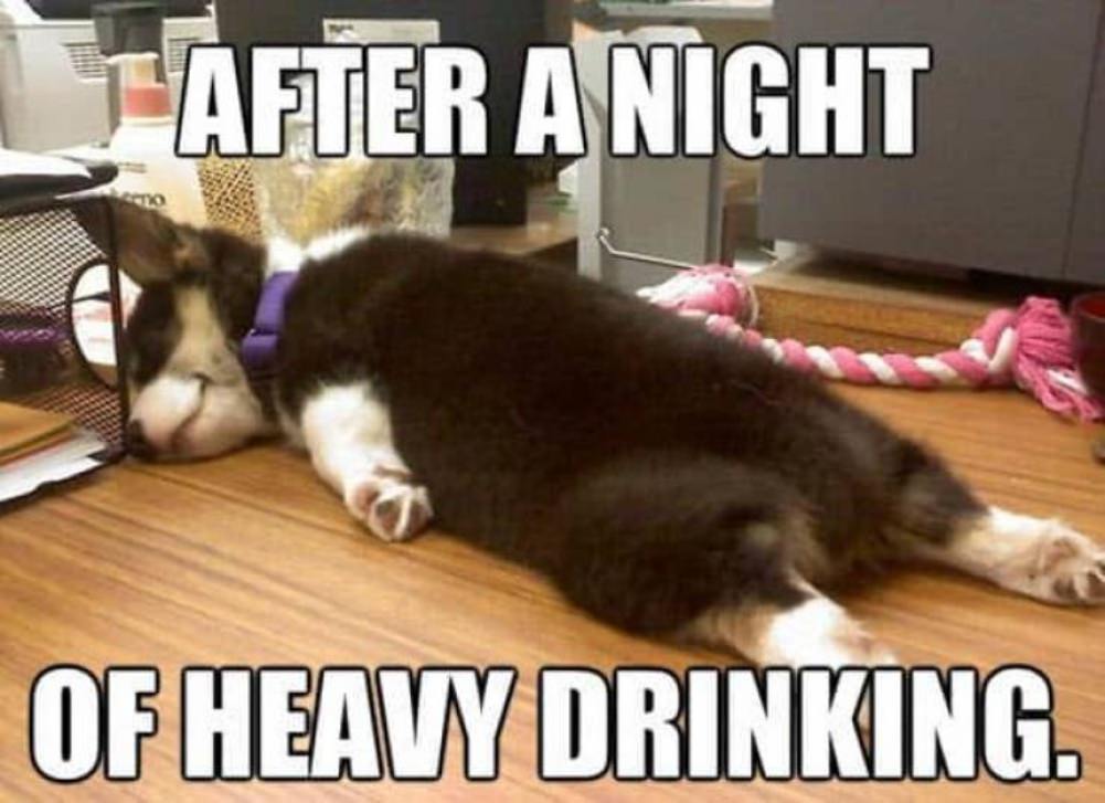 Party Hard