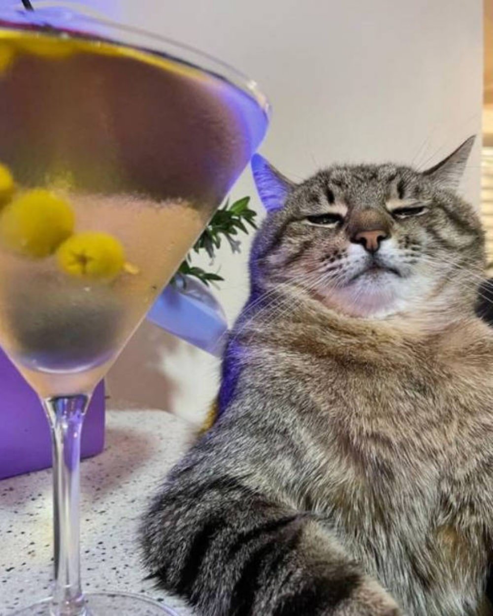 Party Hard