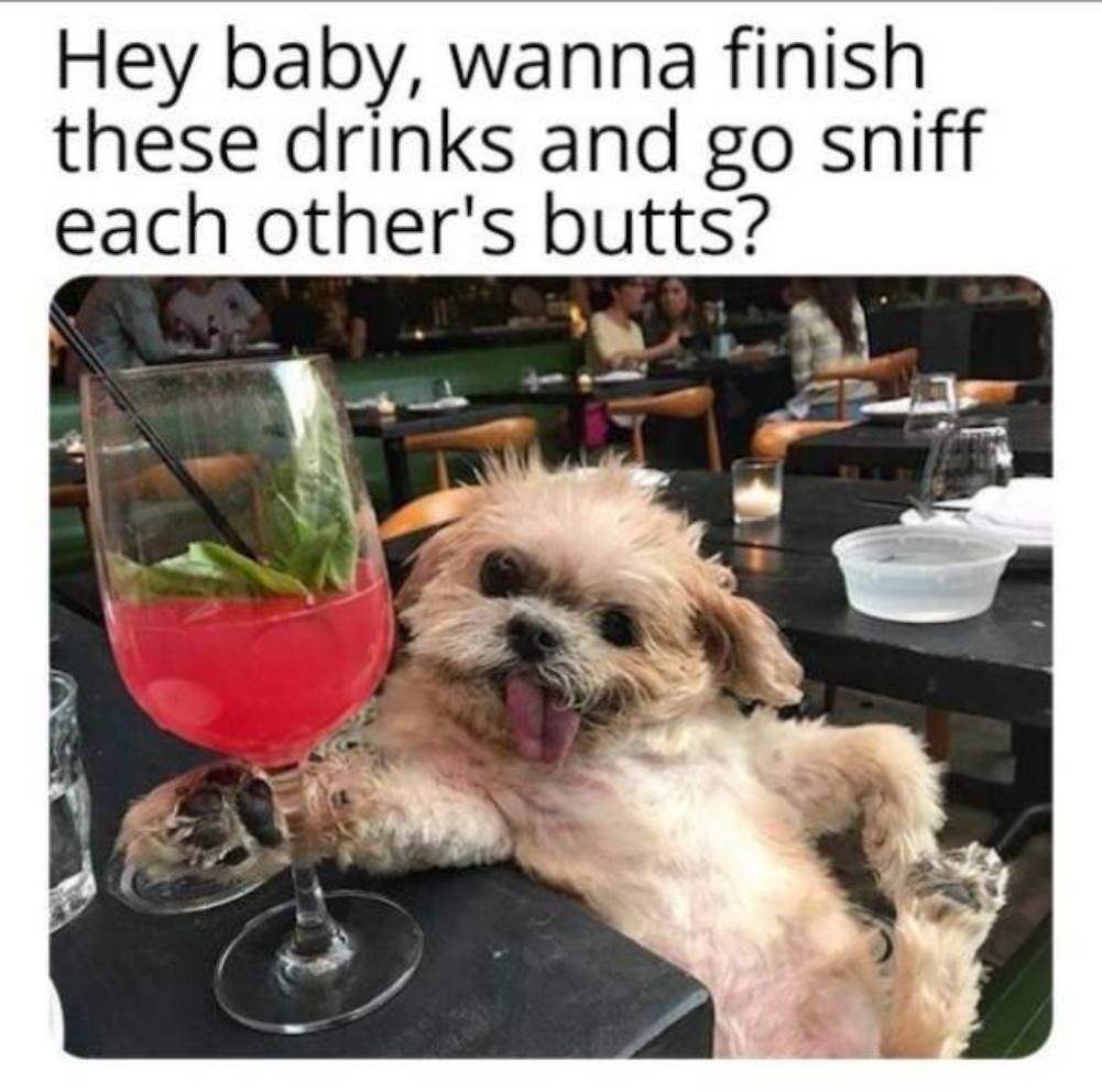 Party Hard