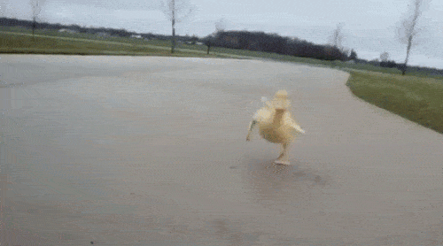 Duck Face Girls Picdump 25