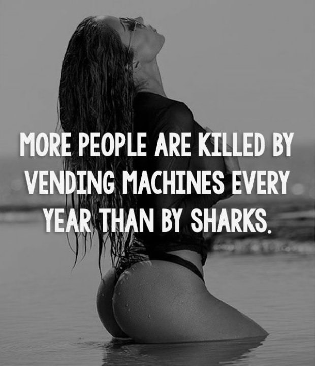 facts.