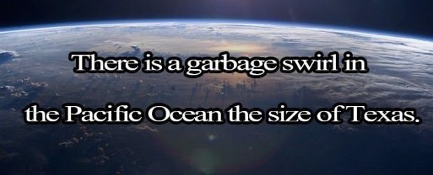 facts.