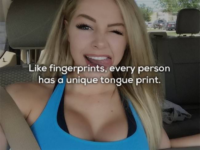 facts