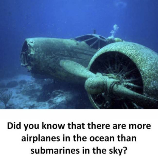 facts