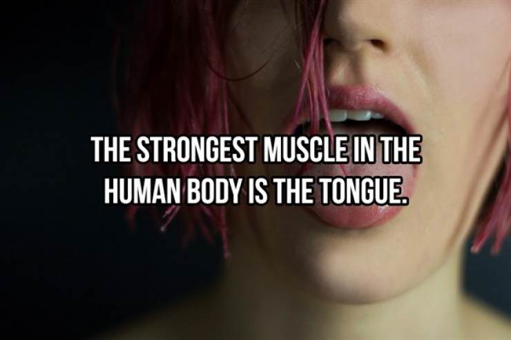 Thats a fact