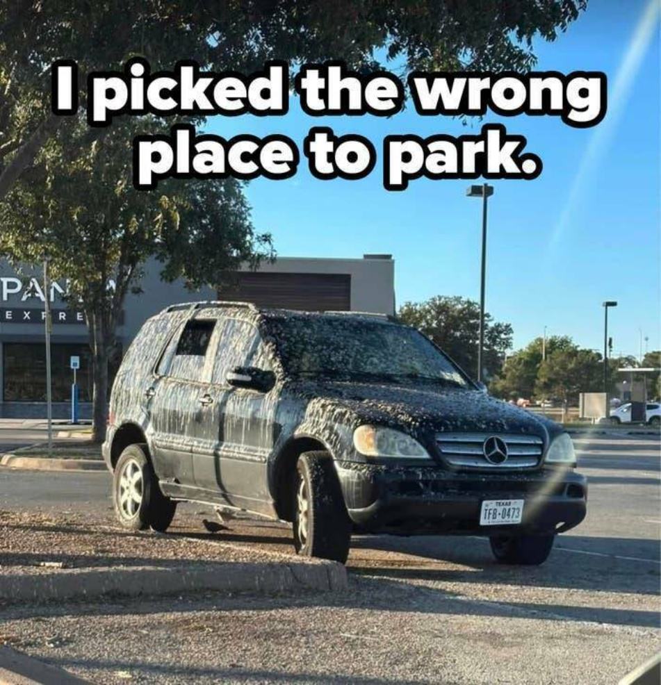 You Fail