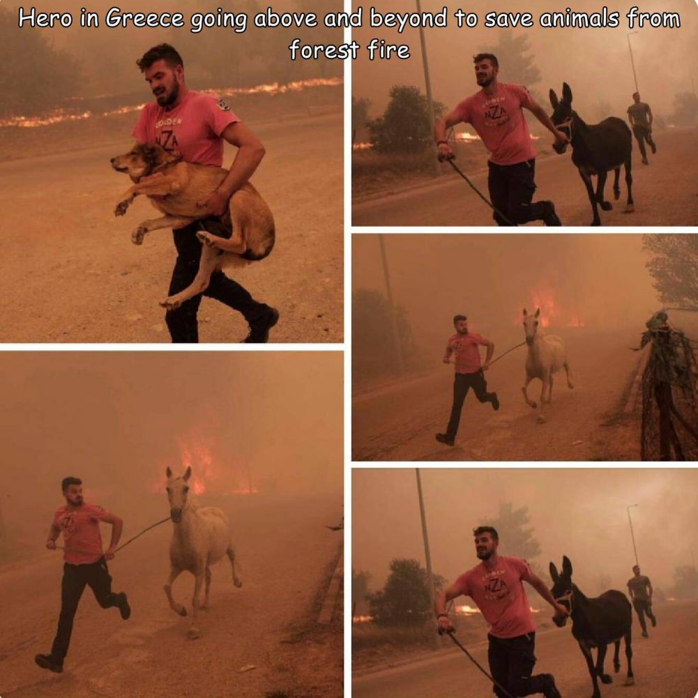 Restoring some Faith in Humanity