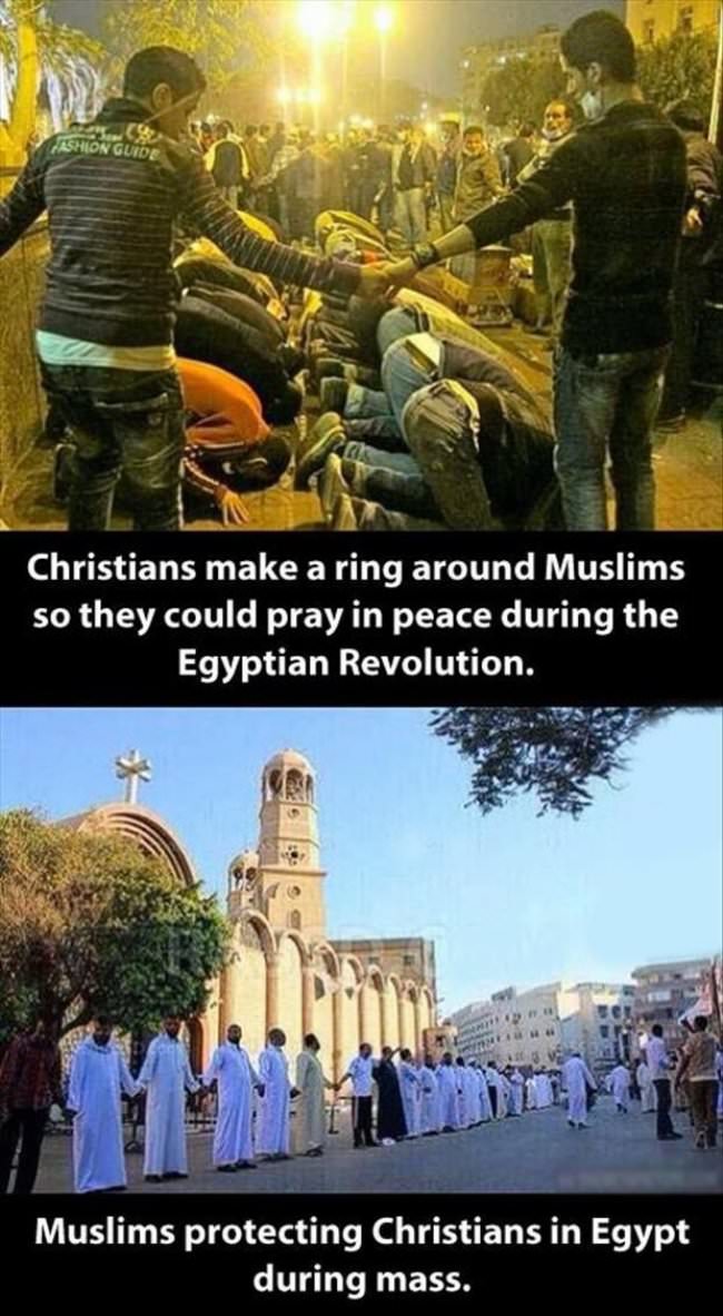 Faith in Humanity