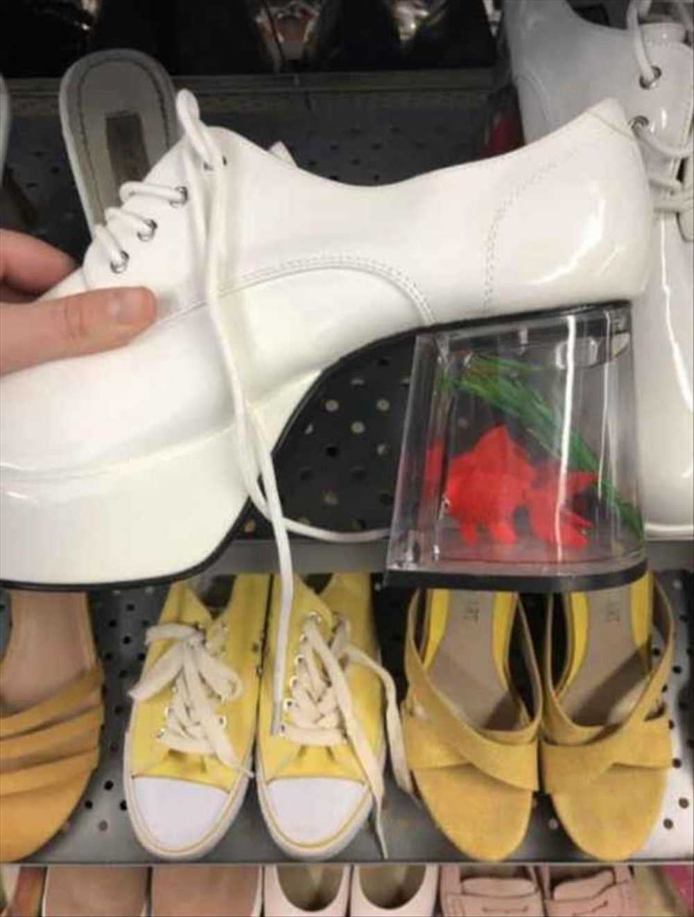 They call it fashion