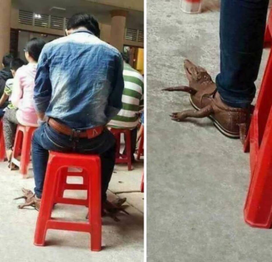 They call it fashion