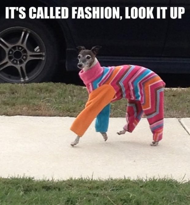 fashion