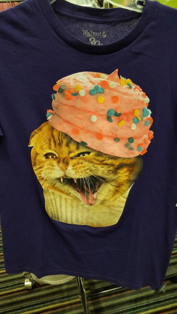 fashion