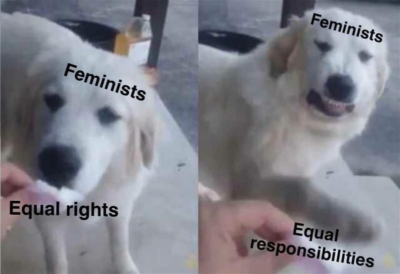 Modern day Feminists