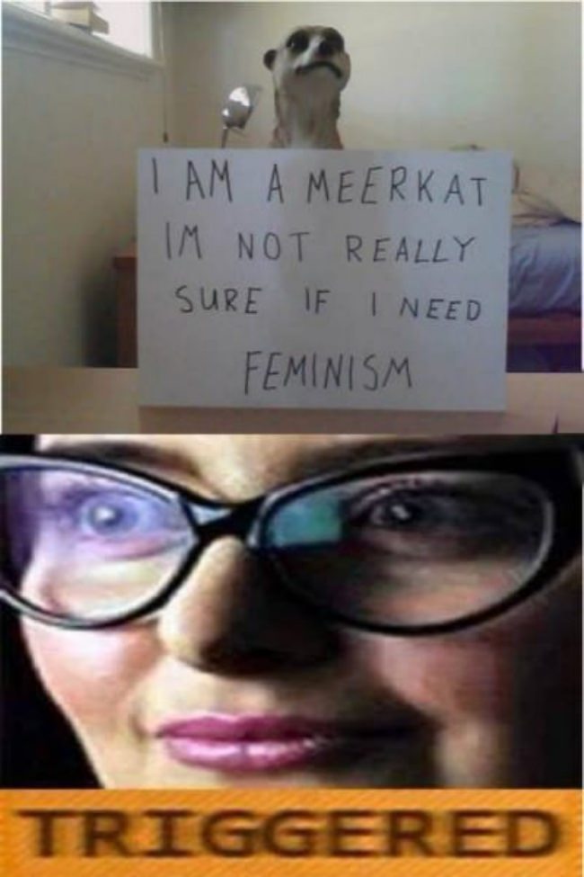 feminist