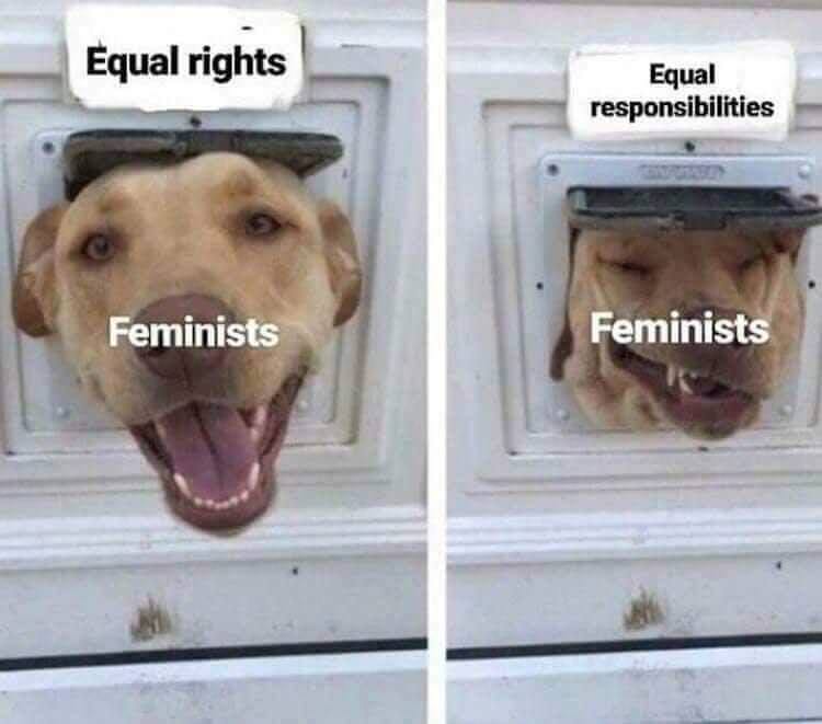 Modern Feminism