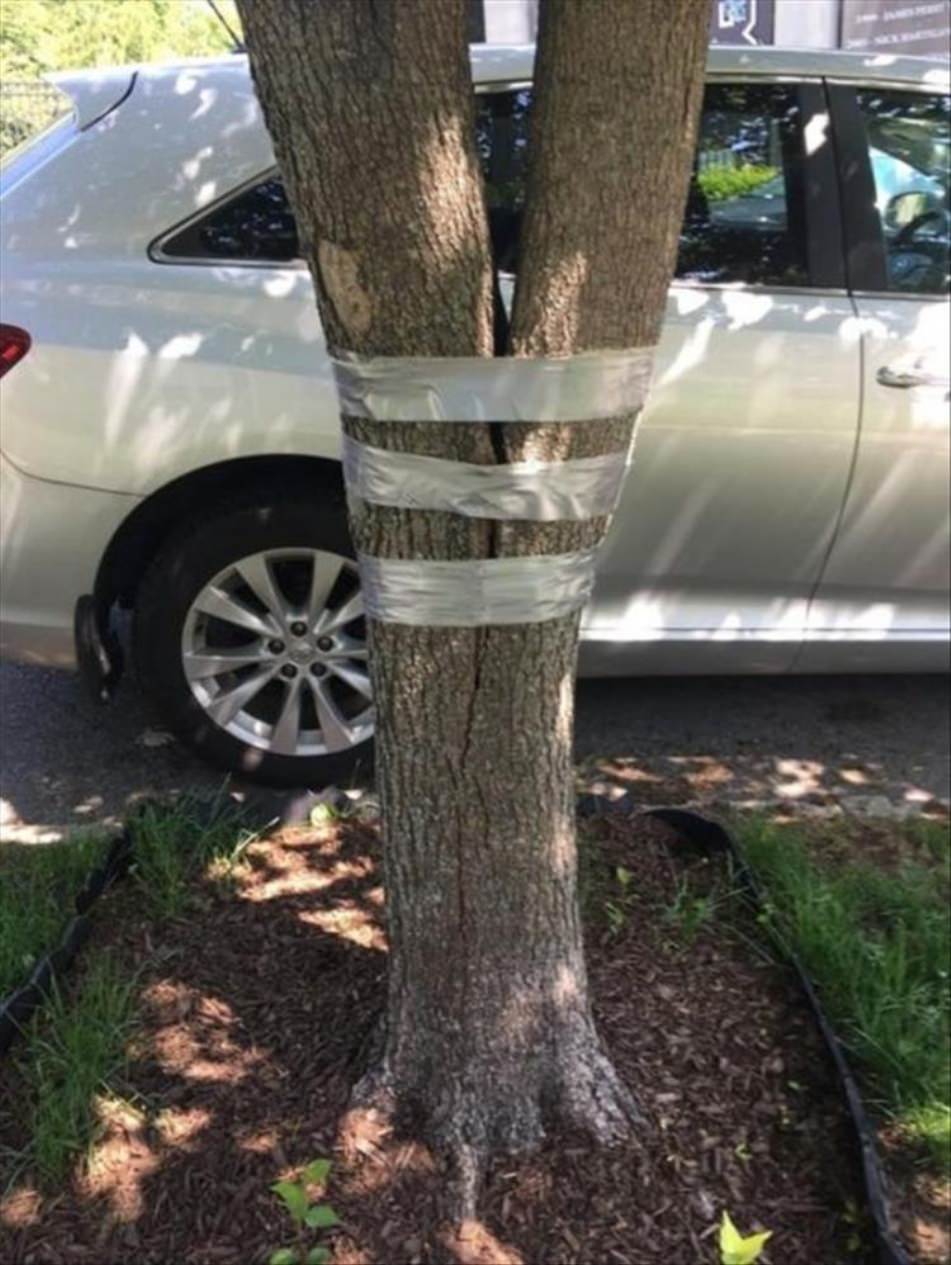 Fixed it