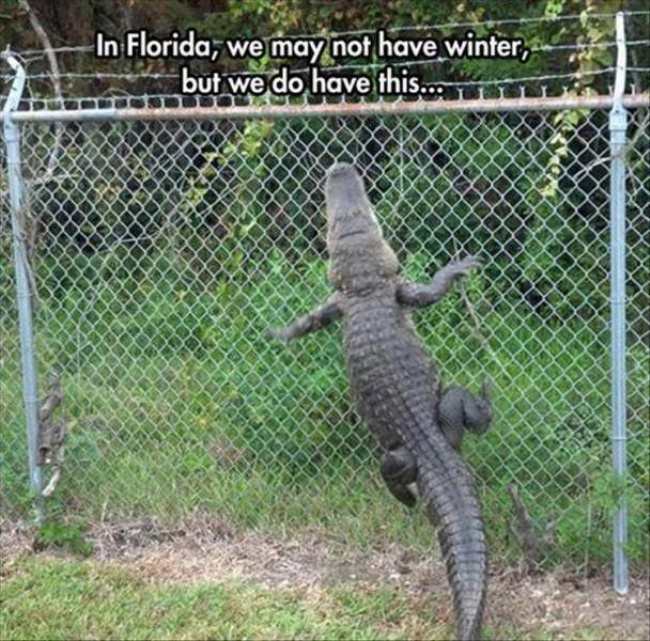 Florida