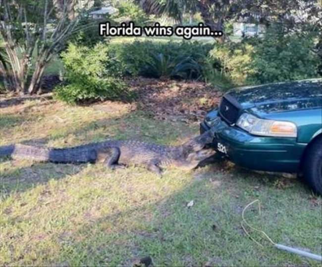 Florida