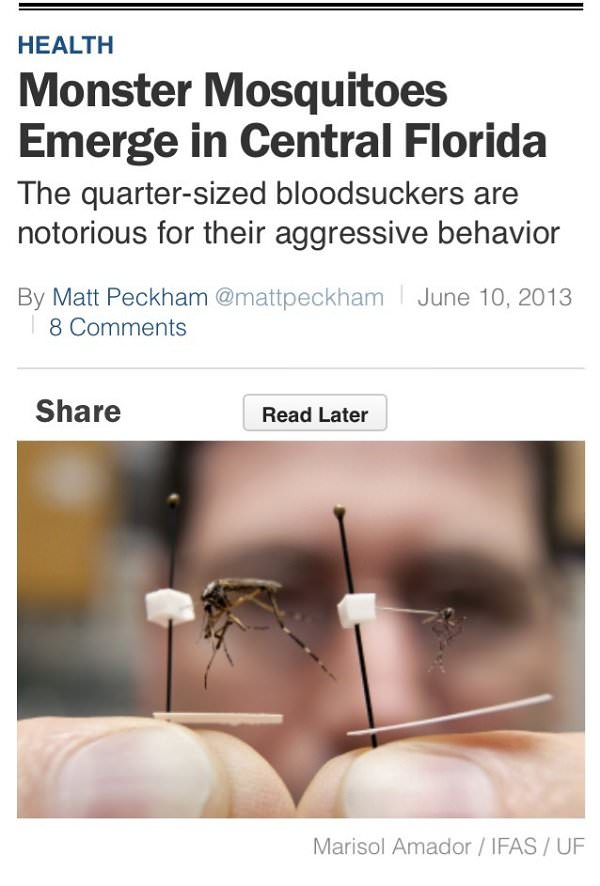 Meanwhile in Florida