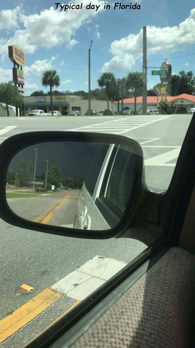 Meanwhile in Florida