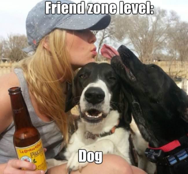 friendzone.