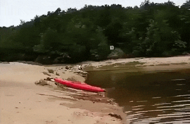 fail gifdump