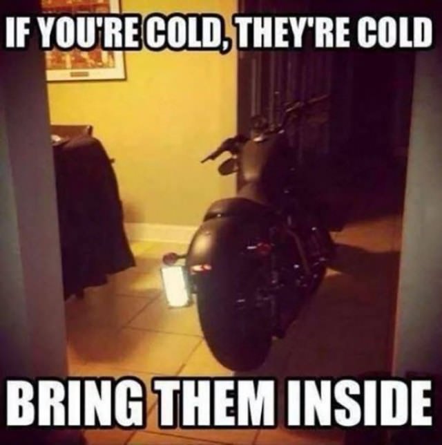 Bikes