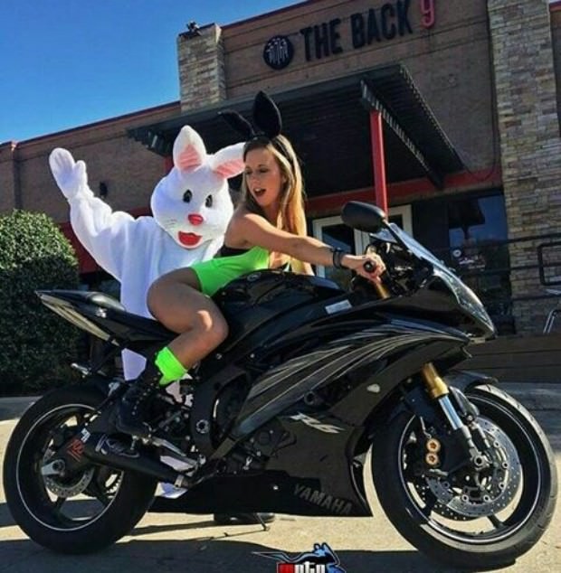 Bikes