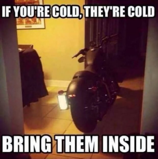 bikes